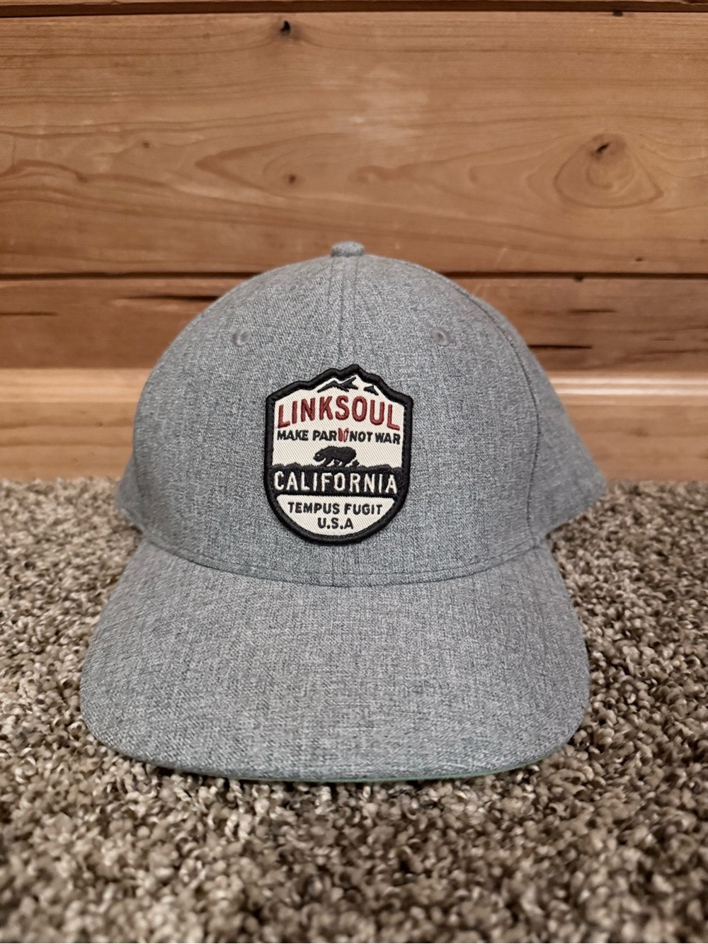 Linksoul Snapback Hat